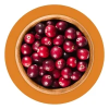 cranberry